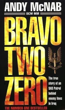 Andy McNab Bravo Two Zero обложка книги