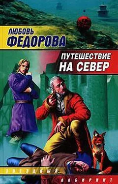 Любовь Федорова Путешествие на север обложка книги