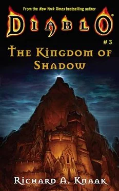 Richard Knaak Kingdom of Shadow обложка книги