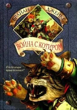 Брайан Джейкс Война с Котиром обложка книги