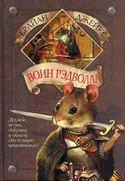 Брайан Джейкс Воин Рэдволла обложка книги