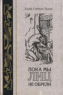Клайв Льис Человек или кролик обложка книги