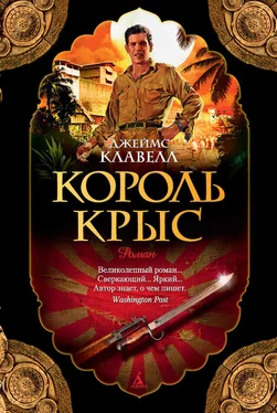 Джеймс Клавелл Король крыс обложка книги