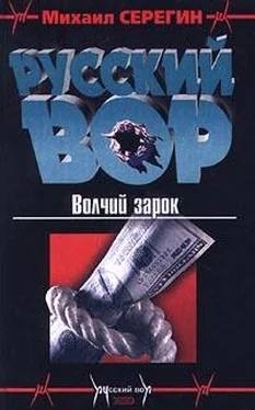 Михаил Серегин Волчий зарок обложка книги