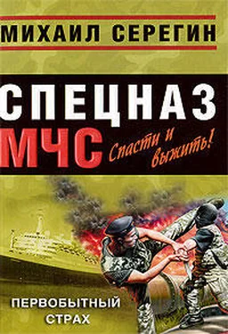 Михаил Серегин Первобытный страх обложка книги