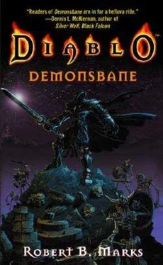 Robert Marks Diablo: Demonsbane обложка книги