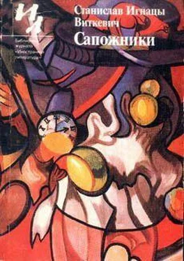 Станислав Виткевич Каракатица, или Гирканическое мировоззрение обложка книги