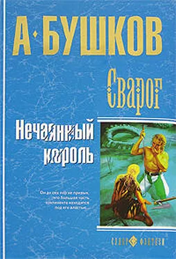 Александр Бушков Нечаянный король обложка книги