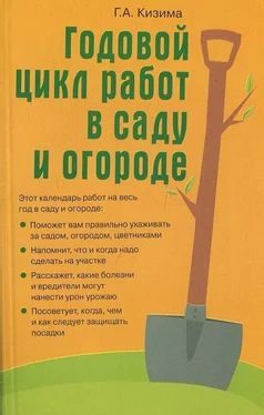 Галина Кизима Годовой цикл работ в саду и огороде обложка книги