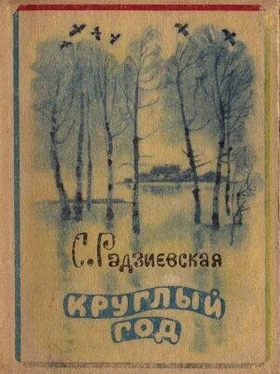 Софья Радзиевская Круглый год обложка книги