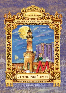 Евгений Федоров Стромынский тракт обложка книги