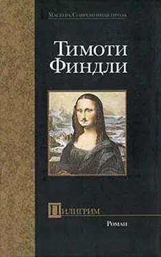 Тимоти Финдли Пилигрим обложка книги