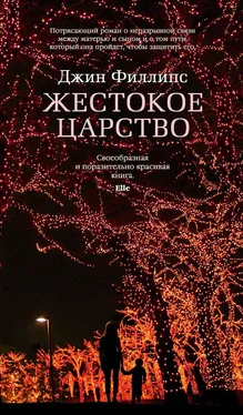 Джин Филлипс Жестокое царство обложка книги