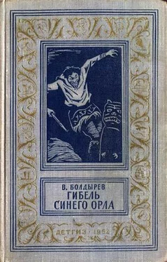 Виктор Болдырев Гибель синего орла. Приключенческая повесть обложка книги