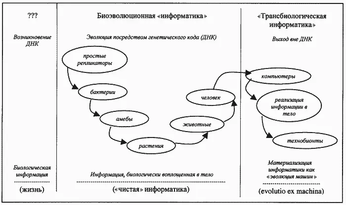 9 Мне кажется хочу высказываться с определенной осторожностью что сданный - фото 1