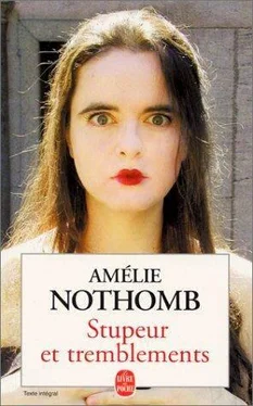 Amélie Nothomb Stupeur et tremblements обложка книги