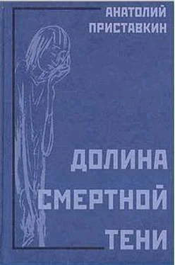 Анатолий Приставкин Долина смертной тени обложка книги