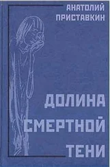 Анатолий Приставкин - Долина смертной тени