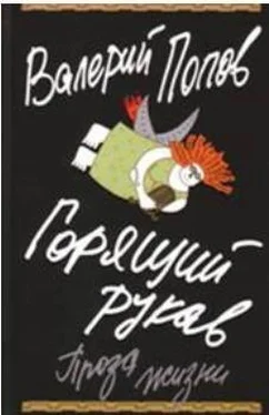 Валерий Попов Горящий рукав обложка книги