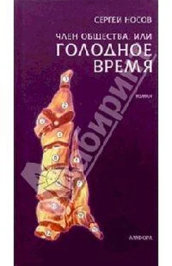 Сергей Носов Член общества, или Голодное время обложка книги