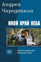 Андрей Чародейкин - Иной край неба. Дилогия [СИ]