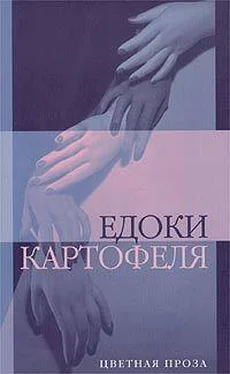 Дмитрий Бавильский Едоки картофеля обложка книги