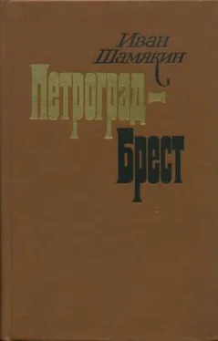 Иван Шамякин Петроград-Брест обложка книги