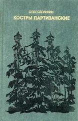 Олег Селянкин - Костры партизанские. Книга 2