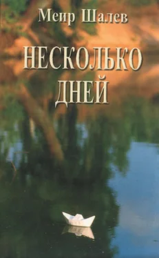 Меир Шалев Несколько дней обложка книги