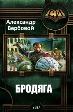 Александр Вербовой Бродяга обложка книги