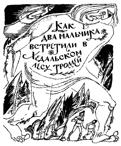 Как два мальчика встретили в Хедальском лесу троллей Когдато давно в - фото 20