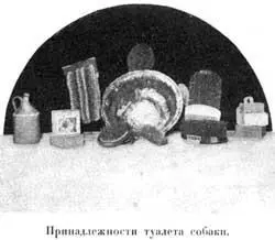 Гардеробъ собакь Кромѣ обычныхъ принадлежностей для чистки помѣщенiй метелъ - фото 33