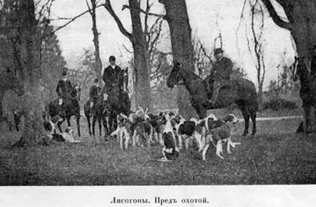 Пойнтеры и ретриверы Великолѣпная англiйская лягавая порода извѣстная подъ - фото 69