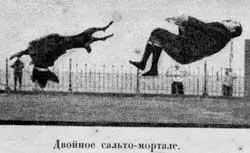Совершенно играючи можно научить собаку если она вообще къ тому способна - фото 97