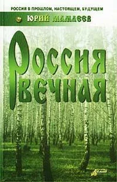 Юрий Мамлеев Россия вечная обложка книги