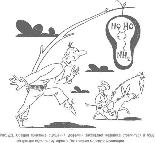 Компьютерные игры так хорошо подсаживают людей благодаря дофаминовым приманкам - фото 30