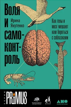 Ирина Якутенко Воля и самоконтроль: Как гены и мозг мешают нам бороться с соблазнами обложка книги