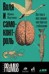 Ирина Якутенко - Воля и самоконтроль - Как гены и мозг мешают нам бороться с соблазнами