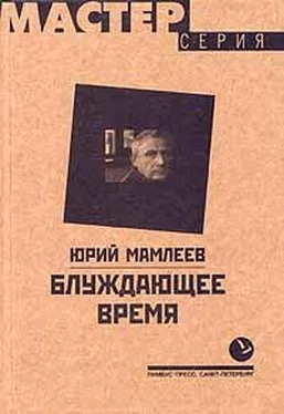 Юрий Мамлеев Блуждающее время обложка книги