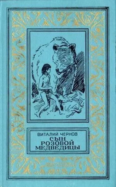 Виталий Чернов Сын Розовой Медведицы. Фантастический роман обложка книги