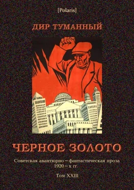 Николай Панов Черное золото [Советская авантюрно-фантастическая проза 1920-х гг. т. XXIII] обложка книги