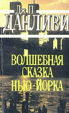 Джеймс Данливи Волшебная сказка Нью-Йорка обложка книги