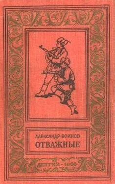 Александр Воинов Отважные обложка книги