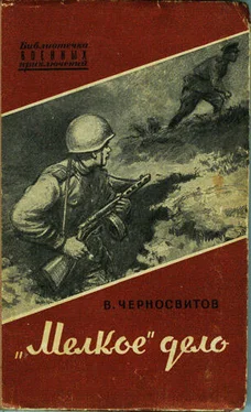 Владимир Черносвитов «Мелкое» дело обложка книги