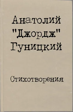 Анатолий Гуницкий Стихотворения обложка книги