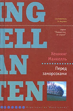 Хеннинг Манкелль Перед заморозками обложка книги