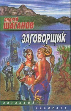 Андрей Шаганов Заговорщик обложка книги
