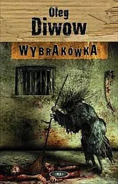 Oleg Diwow Wybrakówka обложка книги