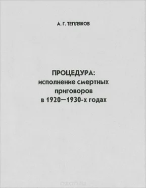 Алексей Тепляков Процедура: исполнение смертных приговоров в 1920–1930-х годах обложка книги