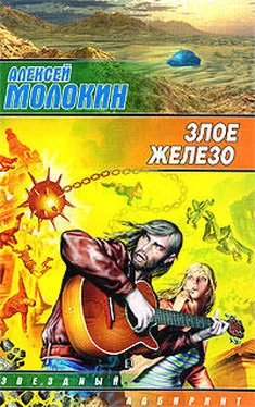 Алексей Молокин Злое железо обложка книги